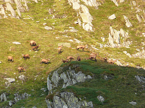 /FagarasAug2010/101.jpg