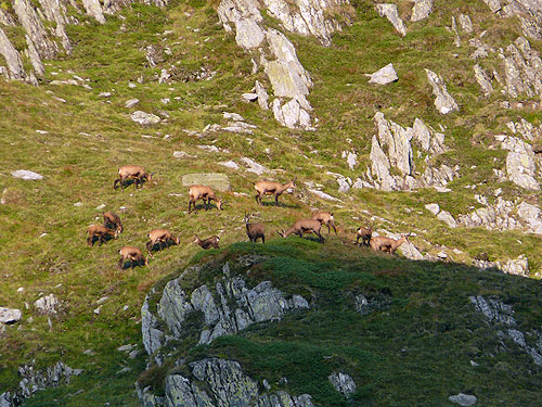 /FagarasAug2010/102.jpg