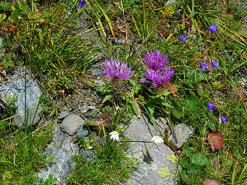 /FagarasAug2010/13.jpg