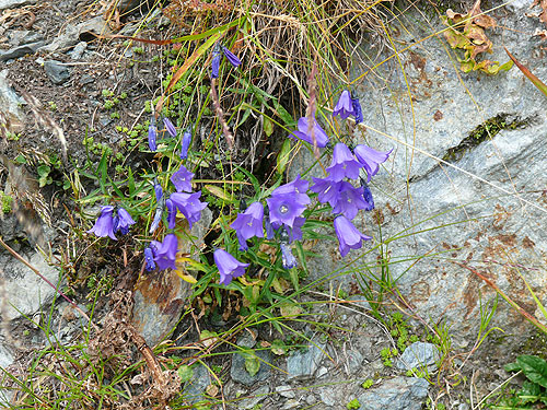 /FagarasAug2010/131.jpg