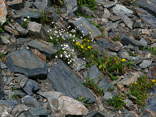 /FagarasAug2010/15.jpg