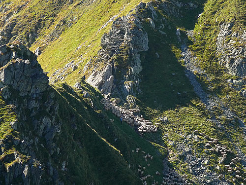 /FagarasAug2010/32.jpg