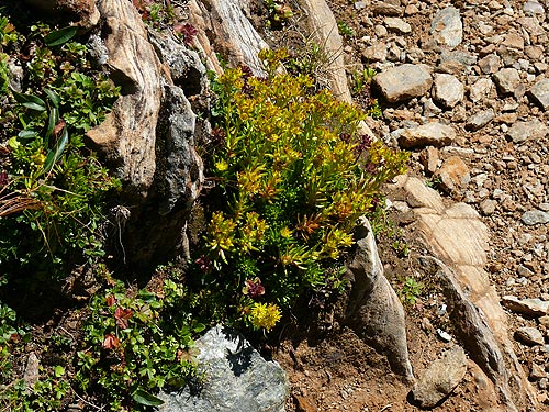 /FagarasAug2010/63.jpg