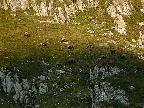 /FagarasAug2010/99.jpg