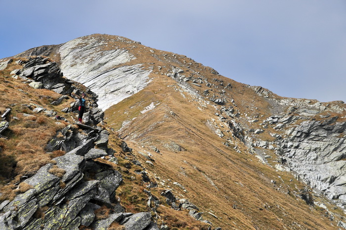/FagarasLesCalt12/15.jpg