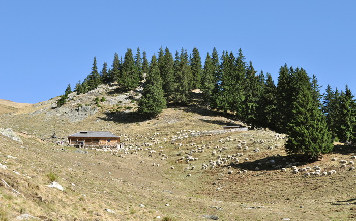 /FagarasLesCalt12/3.jpg