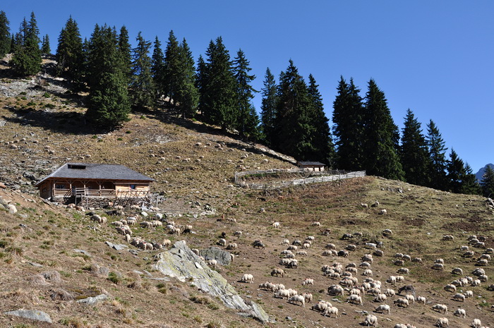/FagarasLesCalt12/5.jpg