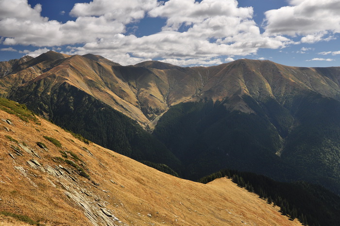 /FagarasLesCalt12/8.jpg