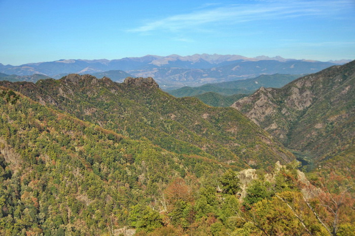 /SturiiPuturoasei/23sturii_puturoasei.jpg