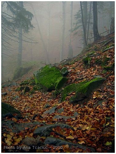 /Semimnar_foto_7/ana_00004.jpg