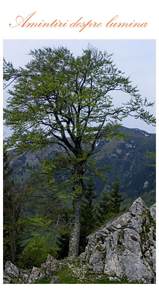/Seminar_foto_5/costin_1.jpg