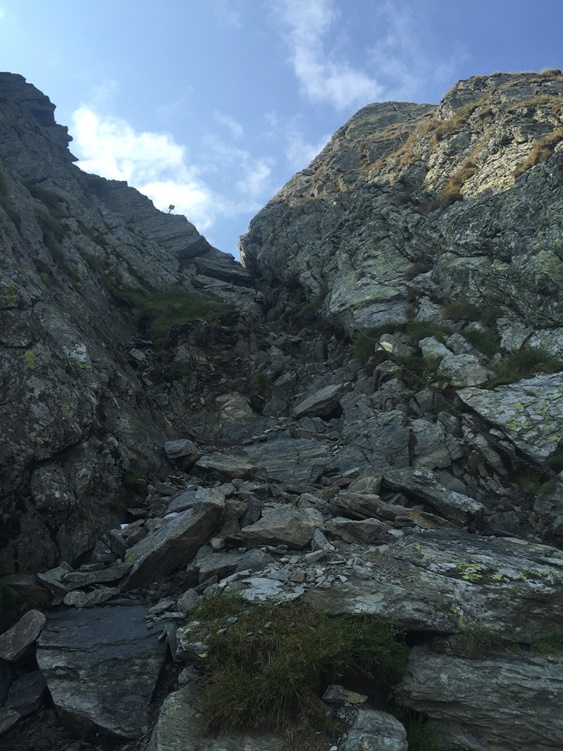 /Fagaras_Negoiu/img_6221_1_sd.jpg