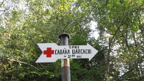 Carpati.org
