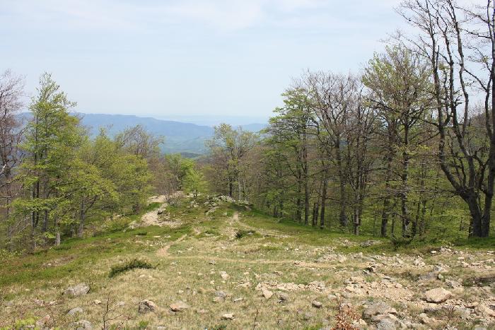 /balcani/img_3951.jpg