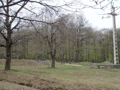 Carpati.org