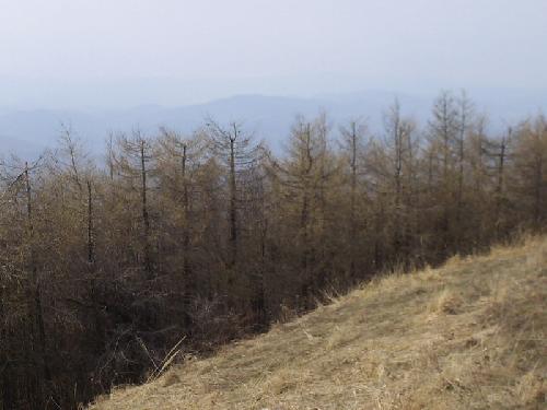 Carpati.org