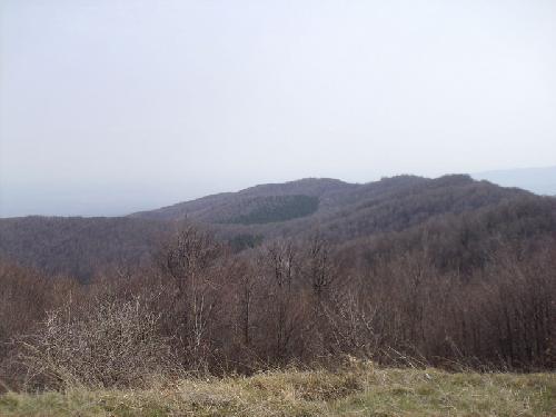 Carpati.org