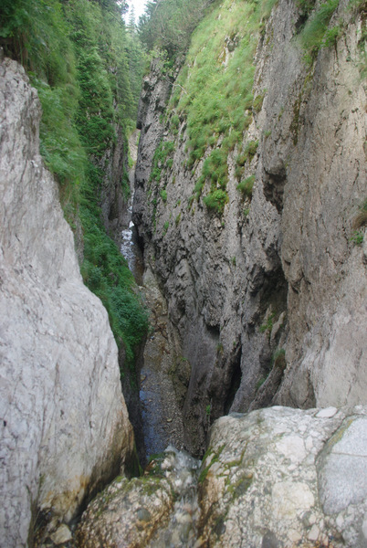 /BucegiGauraClince/imgp1984.jpg