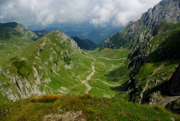 /BucegiGauraClince/imgp2084.jpg