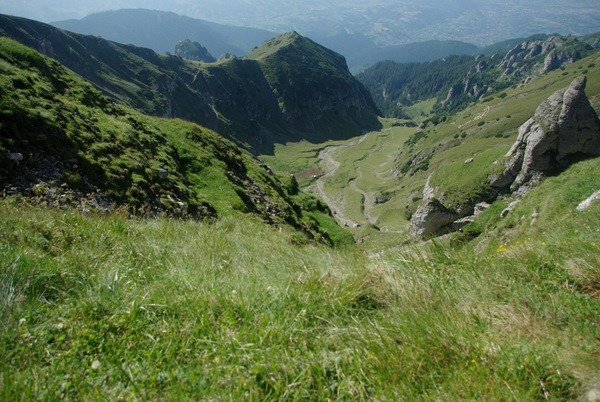 /BucegiGauraClince/imgp2263.jpg