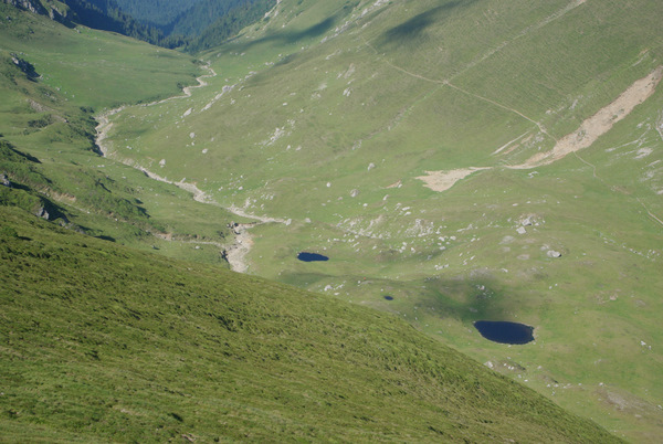 /BucegiGauraClince/imgp2313.jpg