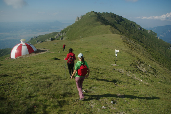 /BucegiGauraClince/imgp2379.jpg