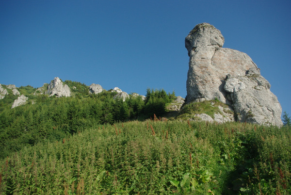 /BucegiGauraClince/imgp2448.jpg