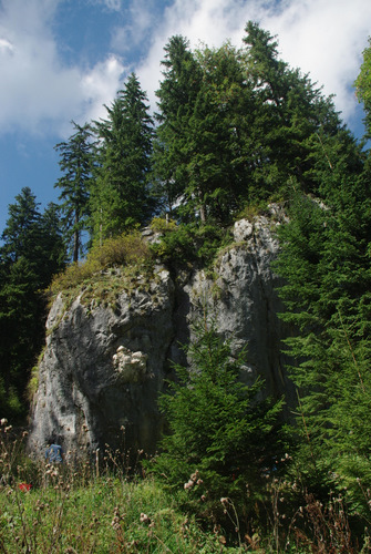 /Ceahlau/imgp8186.jpg