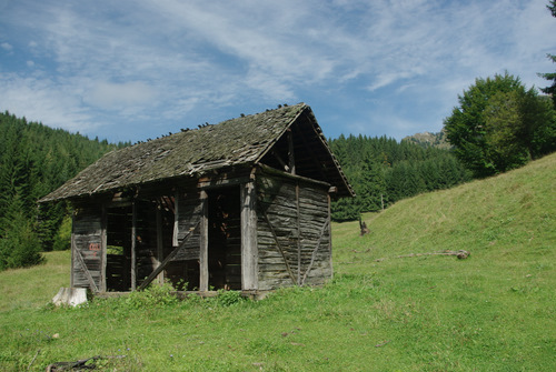 /CheileParauluiAlb/imgp8961.jpg
