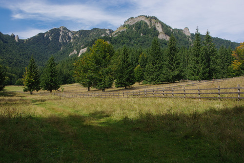 /CheileParauluiAlb/imgp8975.jpg