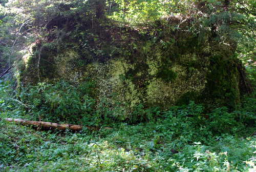 /CheileParauluiAlb/imgp9034.jpg