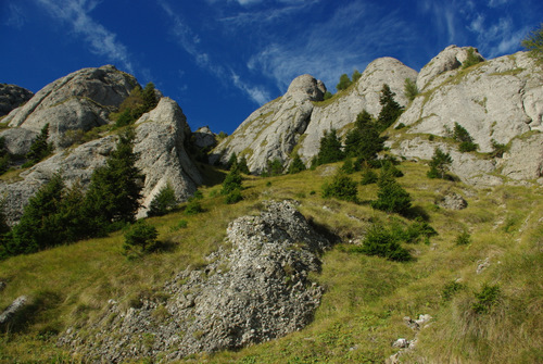 /CheileParauluiAlb/imgp9185.jpg