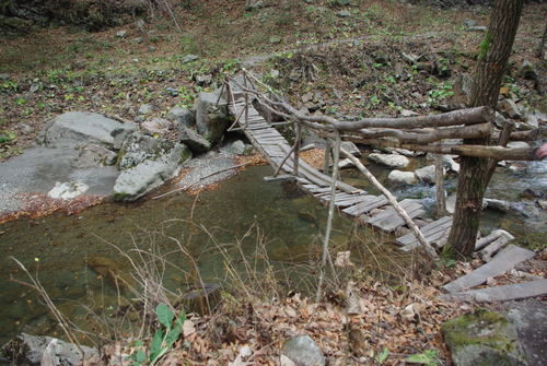 /CheileTisitei/imgp1904.jpg