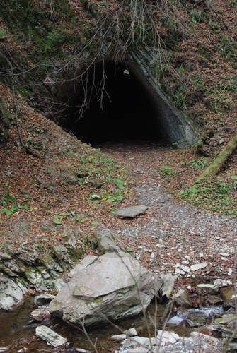 /CheileTisitei/imgp1977.jpg