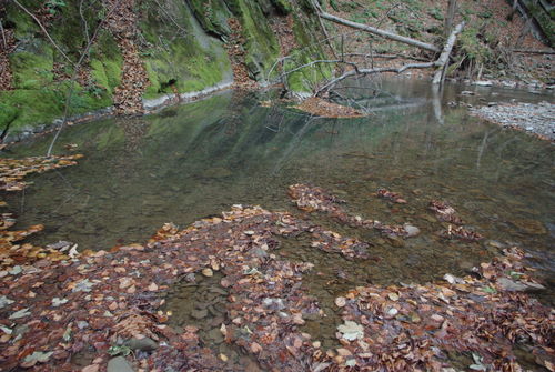 /CheileTisitei/imgp2010.jpg