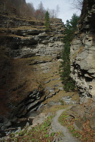 /CheileTisitei/imgp2098.jpg