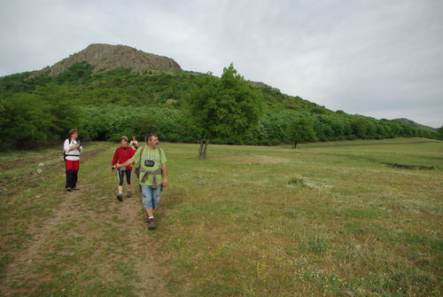 Carpati.org