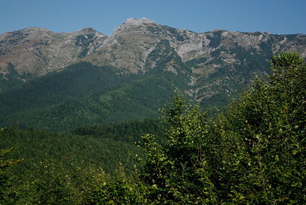 /Oslea/imgp3097.jpg