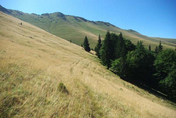 /Oslea/imgp3109.jpg