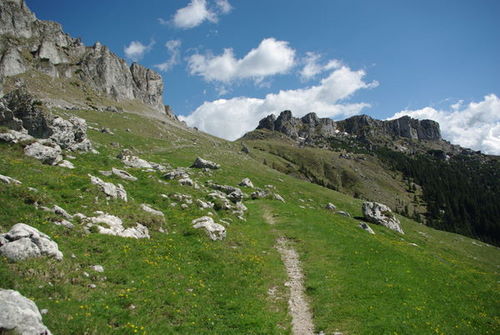 Carpati.org