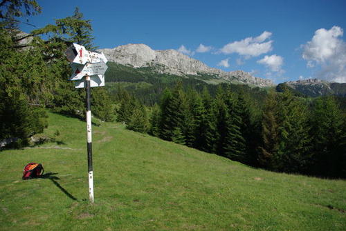 Carpati.org