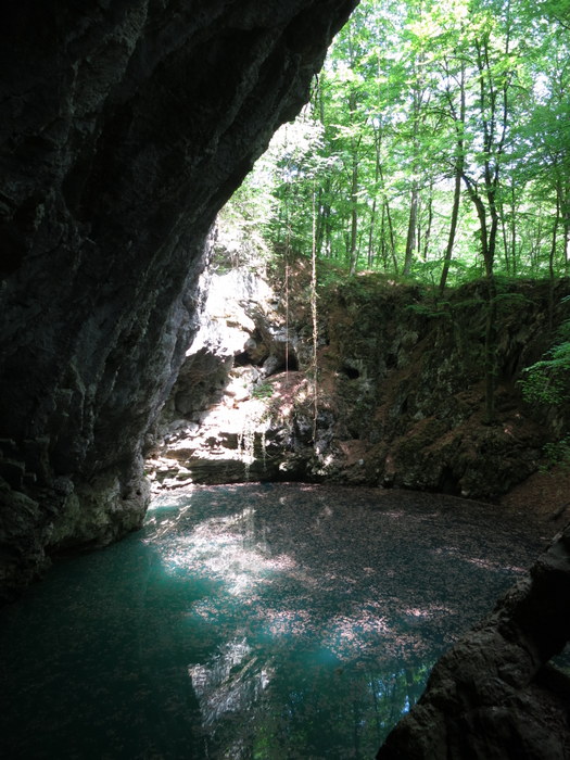 /Trebuie/img_2264.jpg