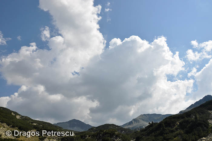 /Pirin/_dsc0016.jpg