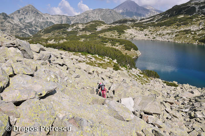 /Pirin/_dsc0220.jpg