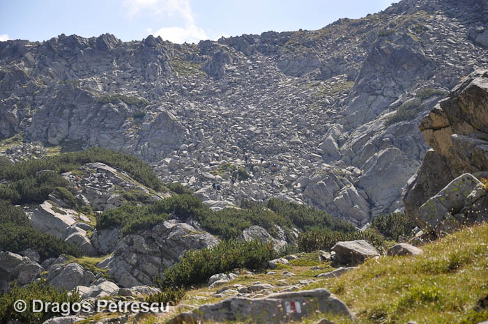 /Pirin/_dsc0224.jpg