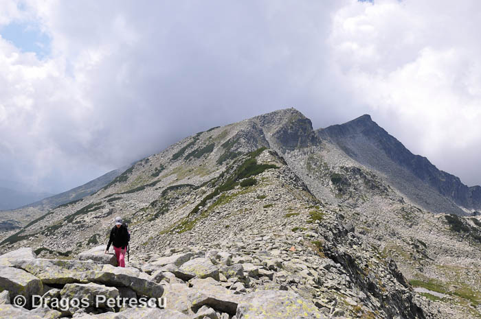 /Pirin/_dsc0238.jpg