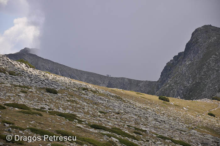 /Pirin/_dsc0240.jpg