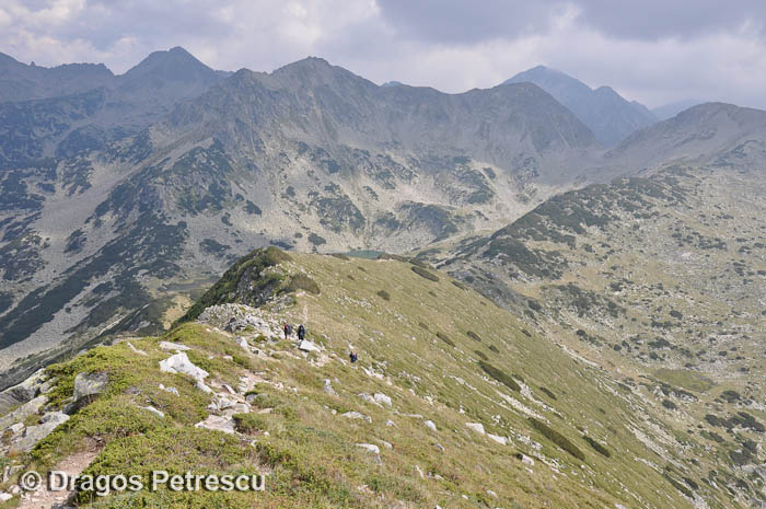 /Pirin/_dsc0280.jpg