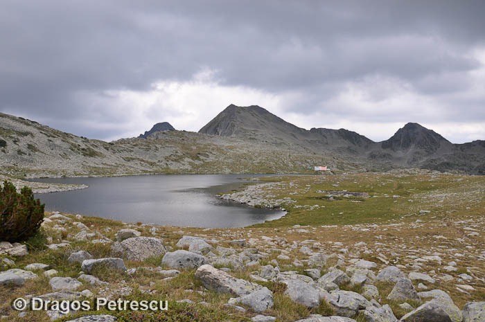 /Pirin/_dsc0291.jpg