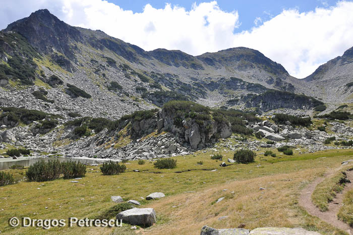 /Pirin/_dsc0397.jpg